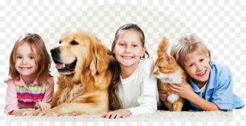 Cat, Dog, Pet, Canidae PNG Cat, Dog, Pet, Canidae PNG