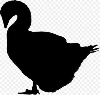 Cat Duck Illustration Image Photograph - Cat Duck Illustration Image Photograph -