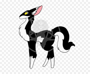 Cat Horse Camel Mammal Pet - cat Cat Horse Camel Mammal Pet - cat