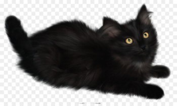 Cat Kitten Clip art - Witch Cat Cat Kitten Clip art - Witch Cat