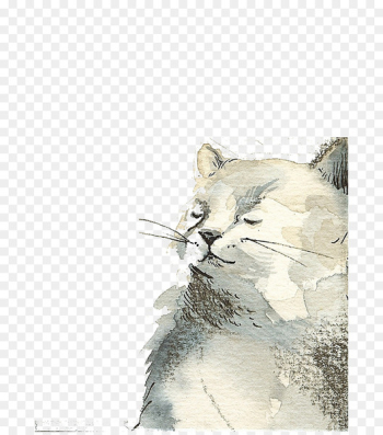 Cat Kitten Drawing Watercolor painting Illustration - White cat 