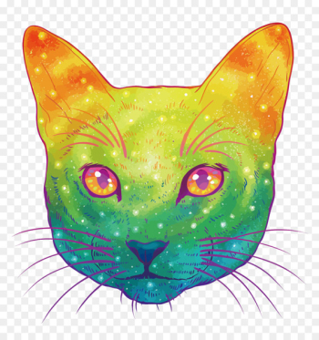 Cat Kitten Felidae Drawing Illustration - Vector Colorful Cat 