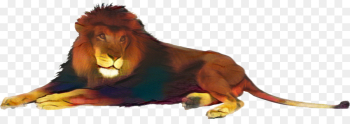 Cat, Mammal, Carnivores, Animal Figure, Toy PNG Cat, Mammal, Carnivores, Animal Figure, Toy PNG