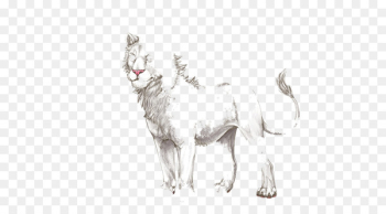 Cat Mustang Mammal Dog Camel - cat Cat Mustang Mammal Dog Camel - cat