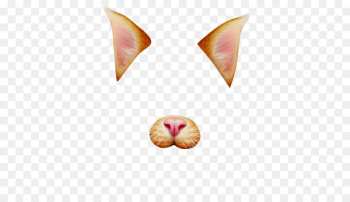 Cat Photographic filter Clip art - Cat Cat Photographic filter Clip art - Cat