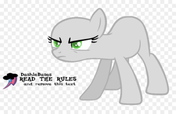 Cat Pony Horse Dog Mammal - cat Cat Pony Horse Dog Mammal - cat