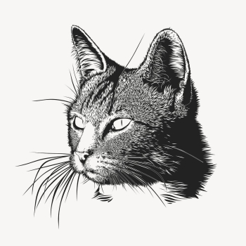 Cat portrait hand drawn, illustration | Free Vector - rawpixel Cat portrait hand drawn, illustration | Free Vector - rawpixel