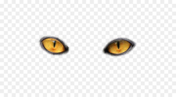 Cat's eye Light - Eyes PNG image Cat's eye Light - Eyes PNG image