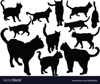 cat silhouette cat silhouette