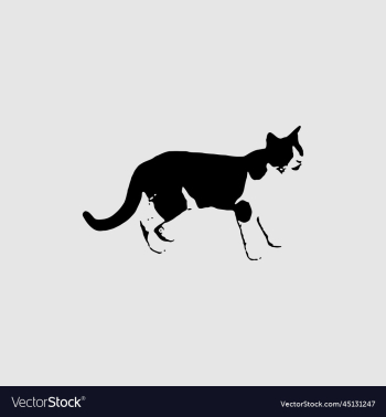 cat silhouette creative design cat silhouette creative design