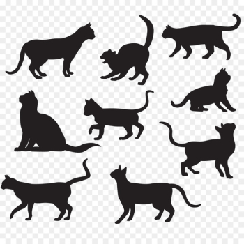 Cat Silhouette Poster Illustration - Pet cat silhouette vector material 