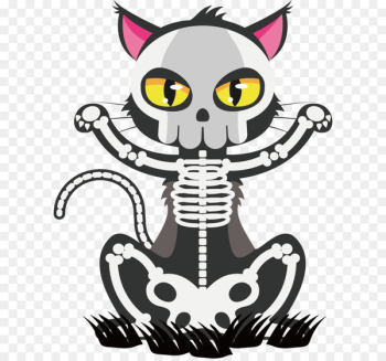 Cat Skeleton Skull Euclidean vector - Black skeleton cat Cat Skeleton Skull Euclidean vector - Black skeleton cat