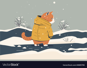cat winter cat winter