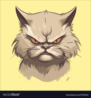 cat with angry expression