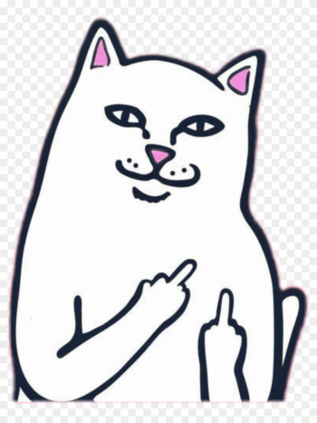 Cat With Middle Finger