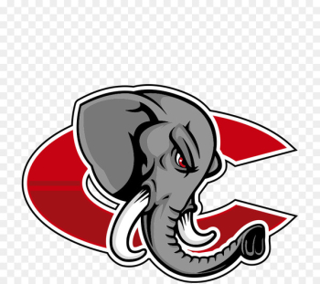 Catania Elephants Third Division Indian elephant Mad Bulls Barletta - baloney flag 