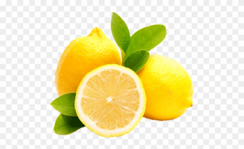 Category Lemons - Difference Between Lime And Lemon Tree Category Lemons - Difference Between Lime And Lemon Tree