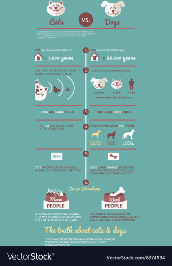 Cats and dogs infographic vector image Cats and dogs infographic vector image