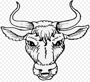 Cattle Heraldry Artist Ox - bull head Cattle Heraldry Artist Ox - bull head