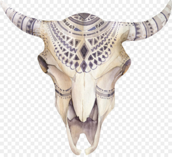 Cattle T-shirt Stock photography Skull Illustration - Skull Cattle T-shirt Stock photography Skull Illustration - Skull