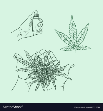 cbd pot leaf and hand cbd pot leaf and hand