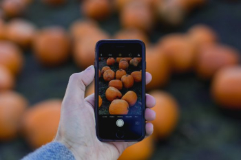 Cell Phone Pumpkin Picture Cell Phone Pumpkin Picture