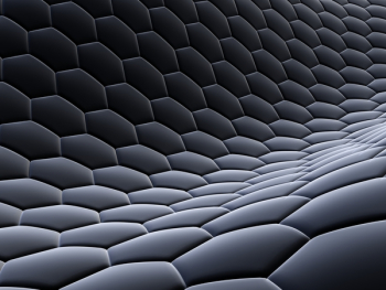 cells cells