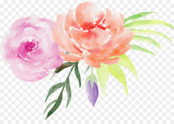 Centifolia roses Flower Watercolor painting Pink - Purple orange roses decorative pattern 