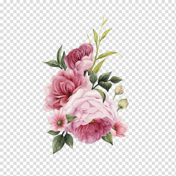 Centifolia roses Pink flowers Wedding invitation Pink flowers, HD hand-painted watercolor roses , pink flower illustration transparent background PNG clipart