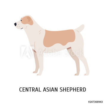 Central Asian Shepherd or Alabai Central Asian Shepherd or Alabai