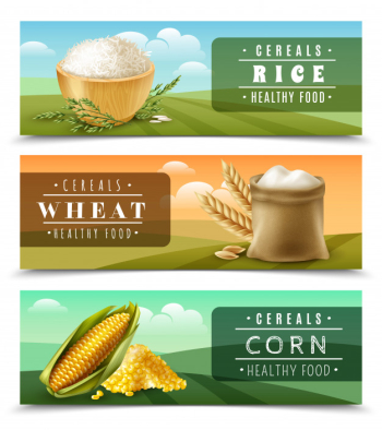 Cereals banner set template Free Vector Cereals banner set template Free Vector