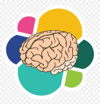 Cerebro Vector - Brain No Background Psychology Cerebro Vector - Brain No Background Psychology