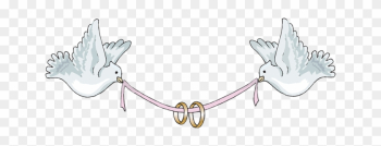 Ceremony Clipart Wedding Love Bird - Dove With Ring For Wedding Ceremony Clipart Wedding Love Bird - Dove With Ring For Wedding