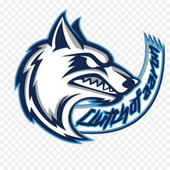 Cerro Coso Community College Coyote Cuyamaca College West Hills College Lemoore California Community College Athletic Association - basketball 