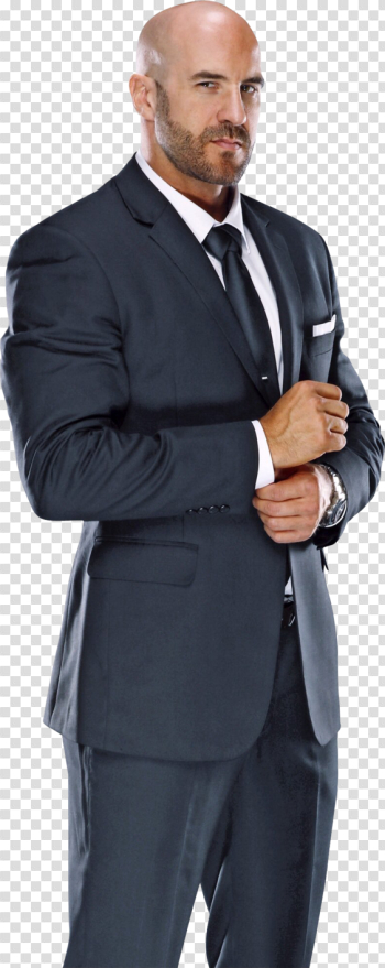 Cesaro PNG High-Quality Image Cesaro PNG High-Quality Image