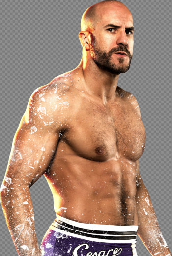 Cesaro Transparent Background PNG