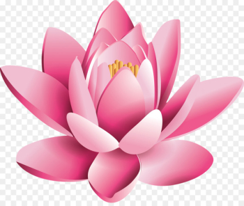 Chakra Manipura Hinduism Energy - lotus flower Chakra Manipura Hinduism Energy - lotus flower