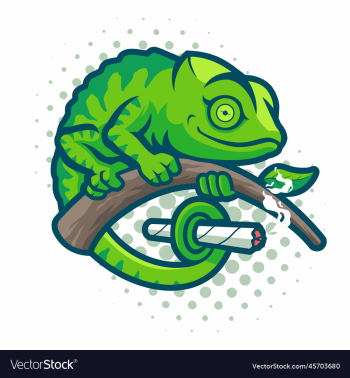 chameleon cartoon character mascot chameleon cartoon character mascot