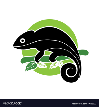 chameleon logodesign chameleon logodesign