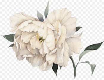 Chanel No. 5 Coco Mademoiselle Perfume - Light pink peony flowers 