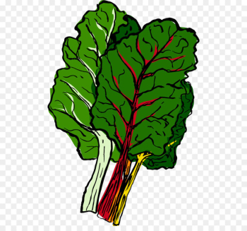 Chard Vegetable Food Autumn Leaf - vegetable Chard Vegetable Food Autumn Leaf - vegetable