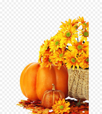 Charlie Brown Pumpkin Facebook Autumn Eggnog - pumpkin Charlie Brown Pumpkin Facebook Autumn Eggnog - pumpkin