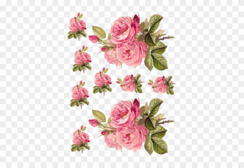 Charming Redoute Roses Shabby Waterslide Decals *furniture - Rose Decoupage Paper Charming Redoute Roses Shabby Waterslide Decals *furniture - Rose Decoupage Paper