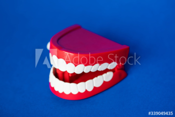 Chattering teeth toy