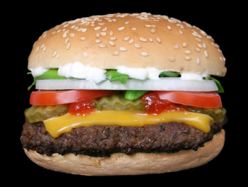 Cheese Burger Cheese Burger