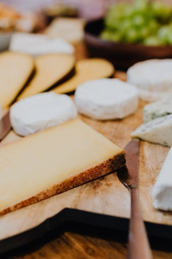 Cheese, white wine and grapes Cheese, white wine and grapes