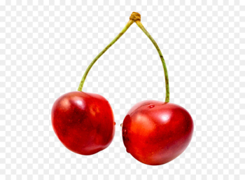 Cherries Cherry tomato Cerasus Sweet Cherry Fruit - Cherries Cherry tomato Cerasus Sweet Cherry Fruit -