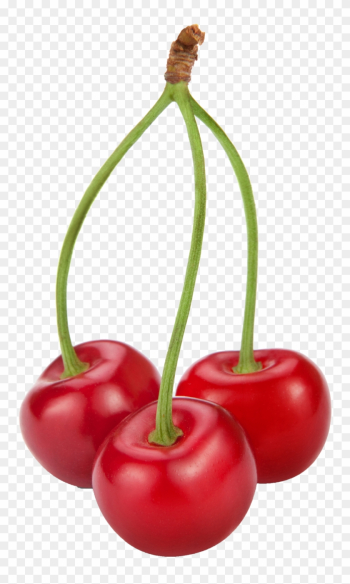 Cherries Png Clipart - Cherries Png Cherries Png Clipart - Cherries Png