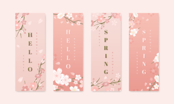 Cherry blossom background collections Cherry blossom background collections