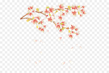 Cherry Blossom, Blossom, Spring, Flower PNG Cherry Blossom, Blossom, Spring, Flower PNG